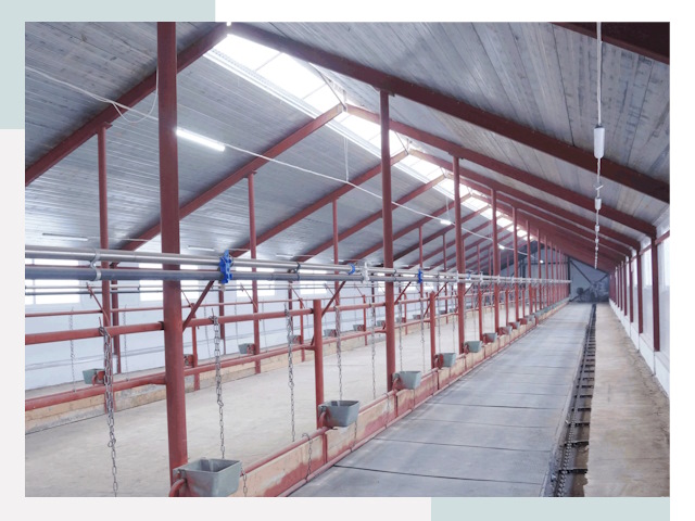 Строительство коровников в Асбесте от 606 руб.