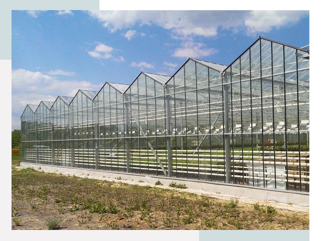 Строительство теплиц в Асбест от 606 руб. за м²