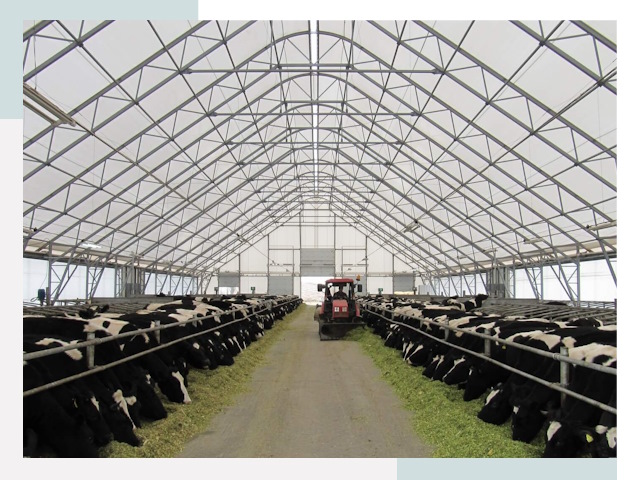 Тентовые коровники в Асбесте от 606 руб. - Надежно и доступно